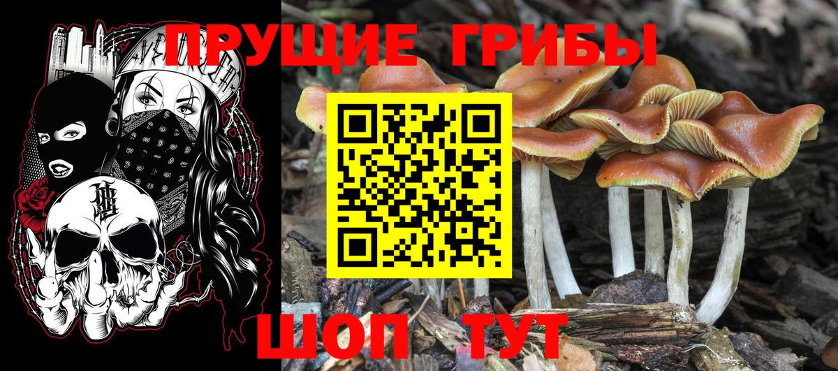 Псилоцибиновые грибы MAGIC MUSHROOMS Сатка