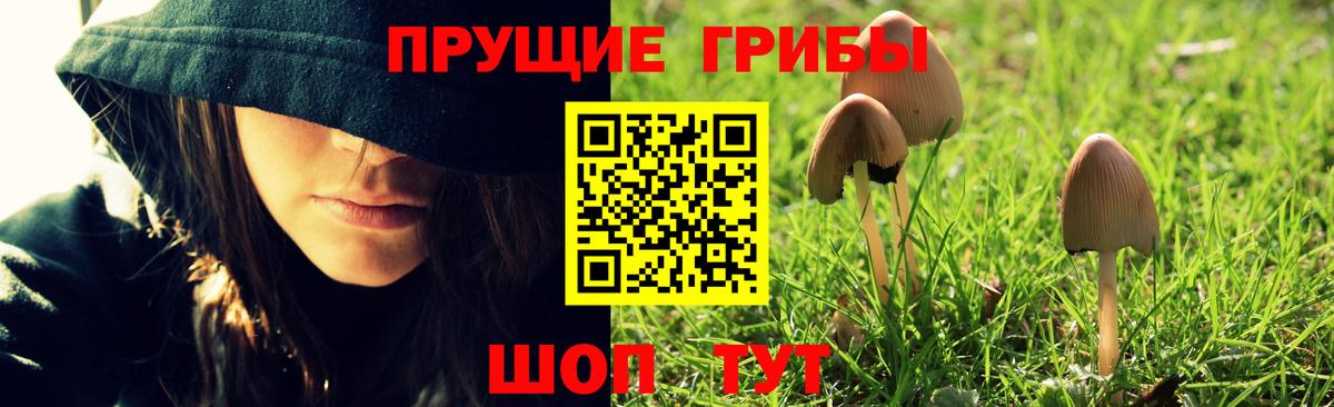 Галлюциногенные грибы Psilocybe  Вход с VPN  Сатка 